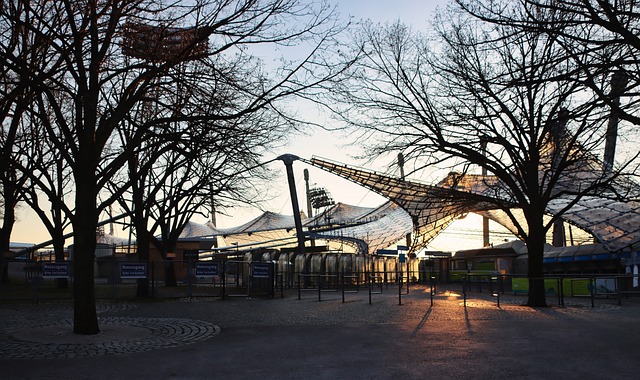 这种情谊表 这种情谊表